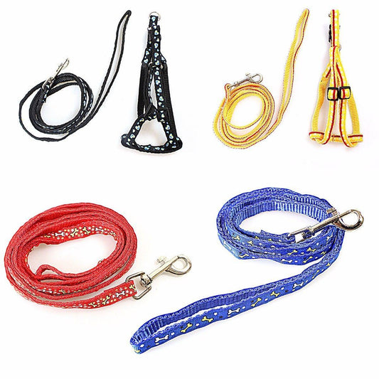 Printed Dog Leash With Extra Strong Lightweight Harness   0041 (Large Letter Rate)