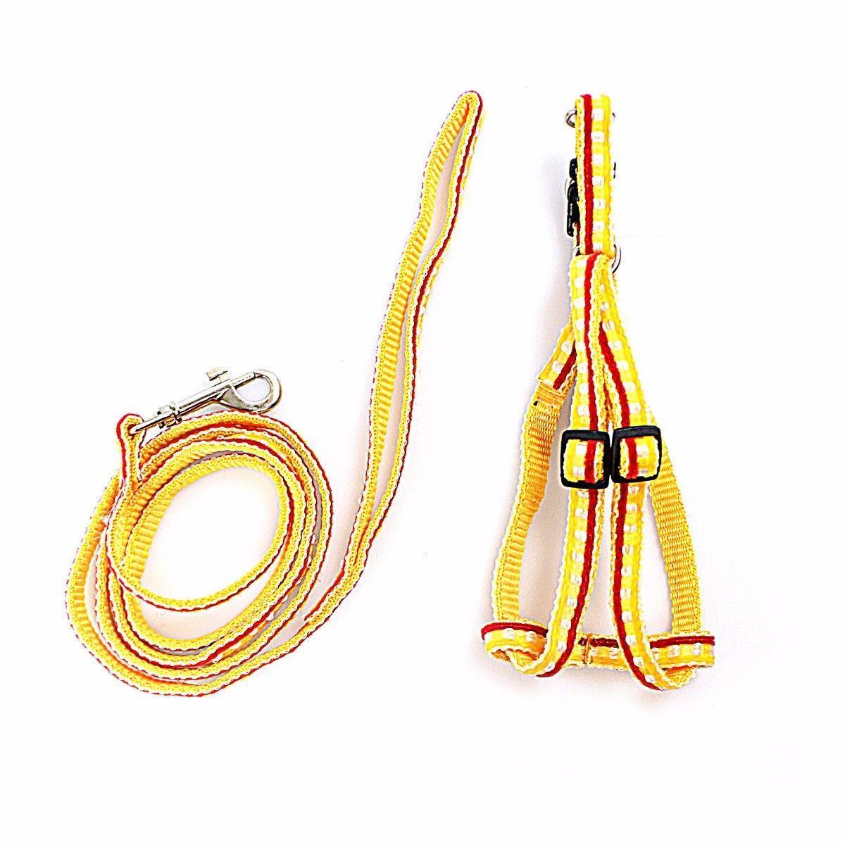 Printed Dog Leash With Extra Strong Lightweight Harness   0041 (Large Letter Rate)