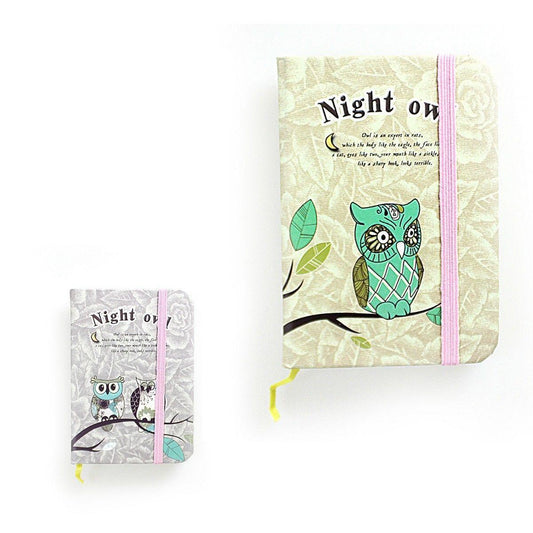 Childrens Fancy A5 Night Owl Personal Diary 1973 (Parcel Rate)