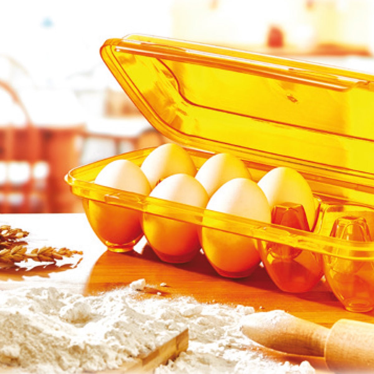 Transparent Egg Preservation Plastic Case Box 10 Eggs YU110 (Parcel Rate)